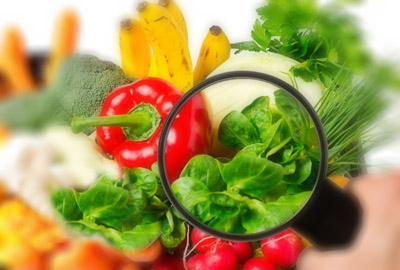 Food Safety Management & Halal Services